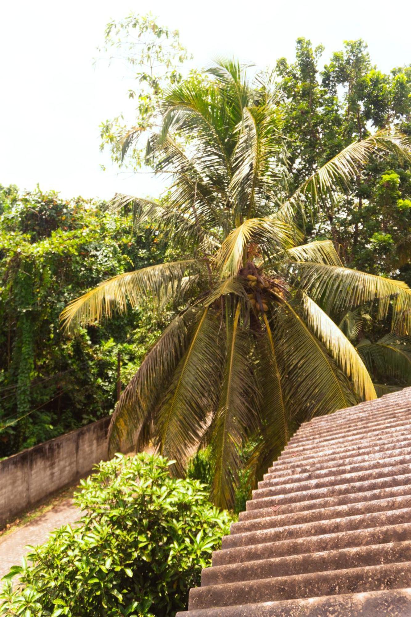 Slow Life Boutique Hotel - Adults Only Mirissa Quarto foto
